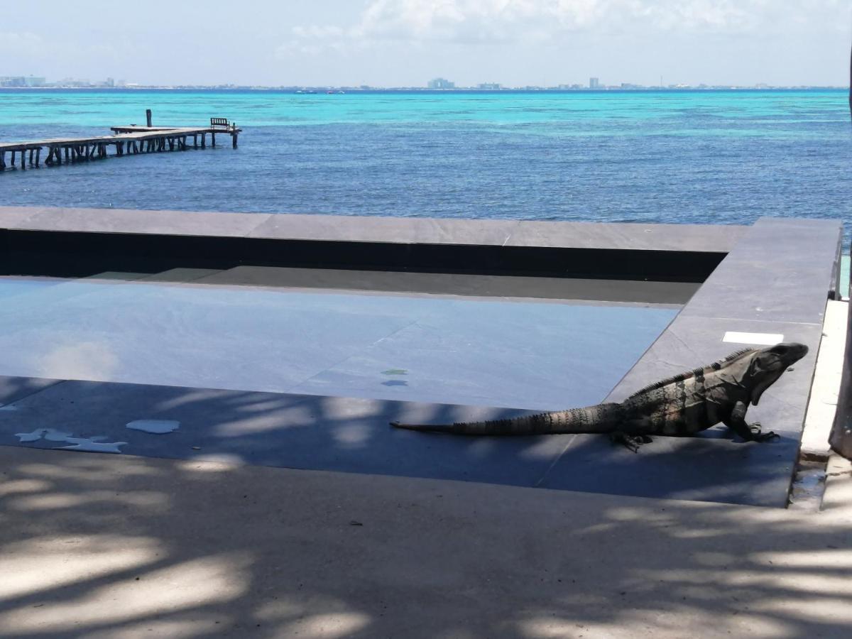 Maria'S Kan Kin Isla Mujeres Ngoại thất bức ảnh